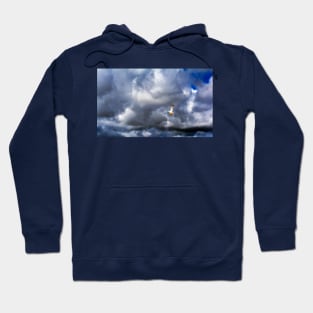 Seagull bird flying over a cloudy blue sky Hoodie